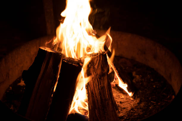 istock Camp fire in a national park. 1445269950
