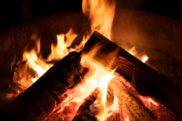 istock Camp fire in a national park. 1445270713