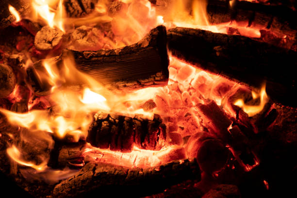 istock Camp fire in a national park. 1445270808