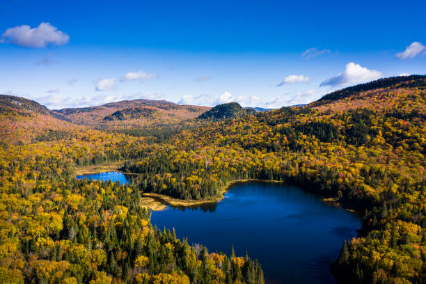 istock Beautiful autumn lake and forest 1445274561