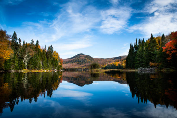 istock autumn forest and lake 1445274684