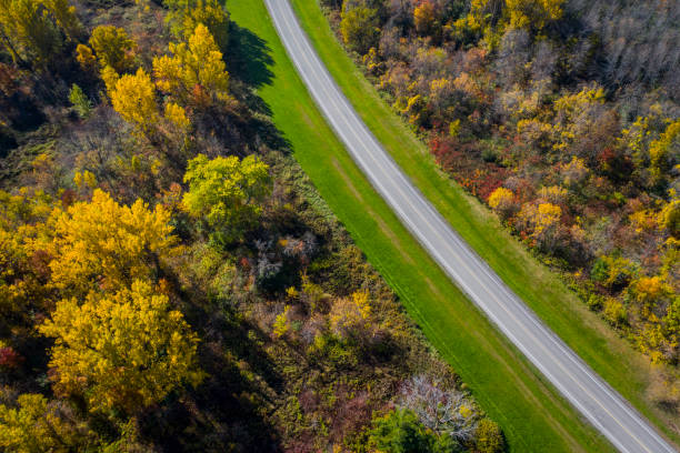 istock Aerial view of St. Lawrence Park 1445275981