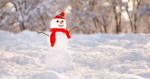 Snowman in red knitted hat and scarf with carrot nose and joyful smile in snowy winter park Cheerful snowman in red knitted hat and scarf with carrot nose and joyful smile on his snowy cartoon face standing in winter park against backdrop of snow-covered trees. Fun winter outdoor activities snowman stock pictures, royalty-free photos & images