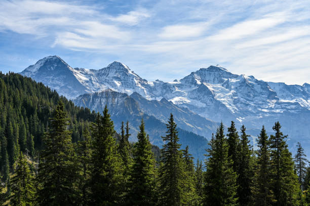 view on the mountain range eiger moench and jungfrau in the swiss alps - eiger jungfrau monk panoramic imagens e fotografias de stock