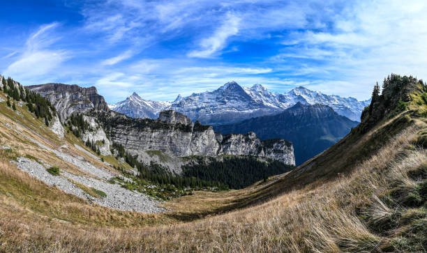 panoramiczny widok na pasmo górskie eiger moench i jungfrau w alpach szwajcarskich - eiger jungfrau monk panoramic zdjęcia i obrazy z banku zdjęć