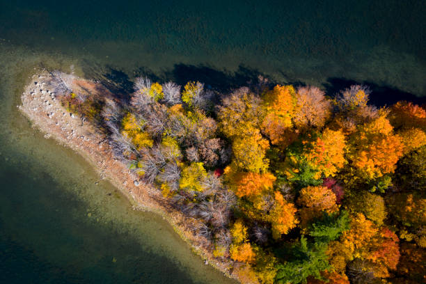 istock Aerial view of St. Lawrence Park 1445280105