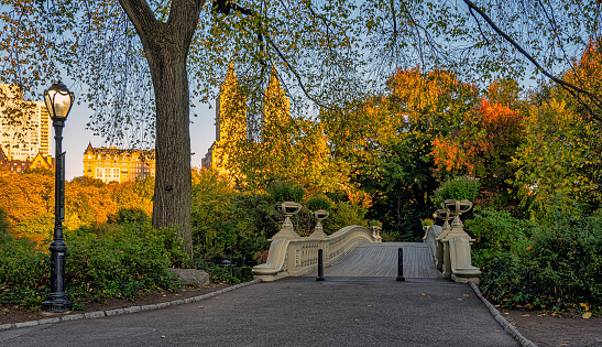 Bow bridge, Central Park, New York City in autumn, early morning