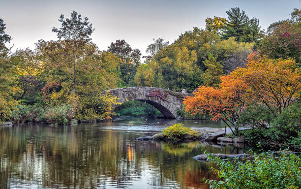 istock Gapstow Bridge in Central Park, autumn 1445285743