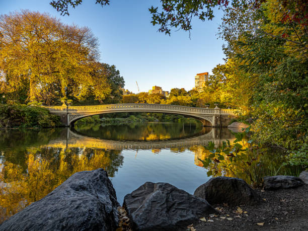 istock Bow bridge in autumn, early morning 1445285757