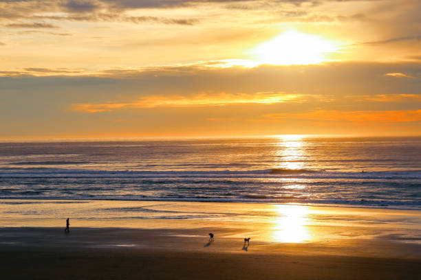 istock Sunset on the Washington Coast in Westport 1445286615