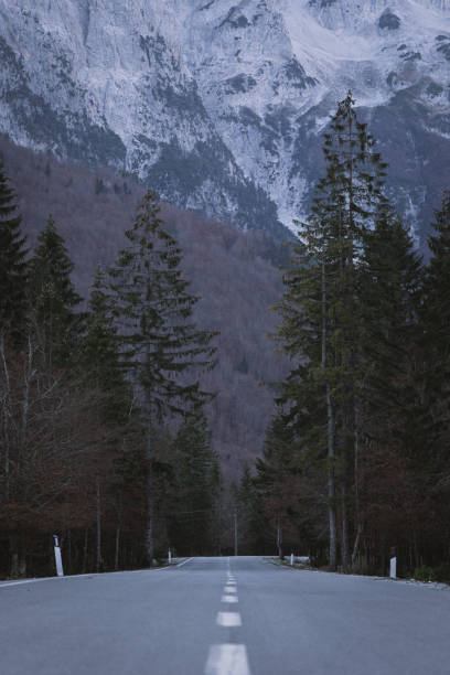 istock Road through Albanian Alps in Valbona 1445286677