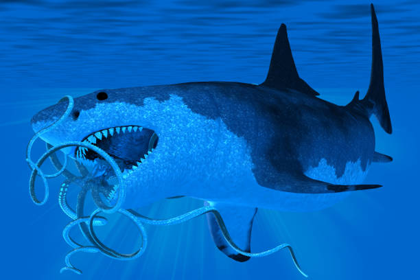 Underwater a massive Megalodon shark tries to eat a giant Octopus during the Pleistocene Period.