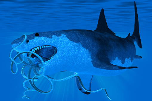 Underwater a massive Megalodon shark tries to eat a giant Octopus during the Pleistocene Period.