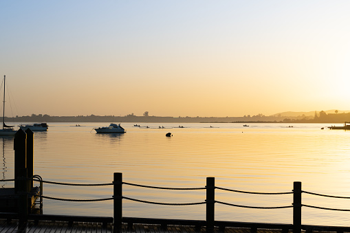 Golden hues of Tauranga Downtown waterfront sunrise over calm harbour water