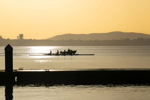 istock Rowers out training on Tauranga harbour 1445292745