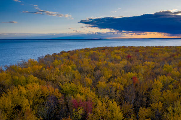 istock Aerial view over forest and lake 1445294087