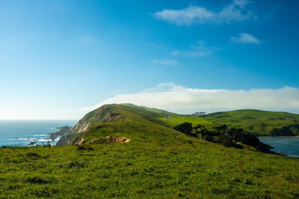 istock Chimney Rock Peninsula Looking Back Toward Point Reyes Lighthouse 1445304220