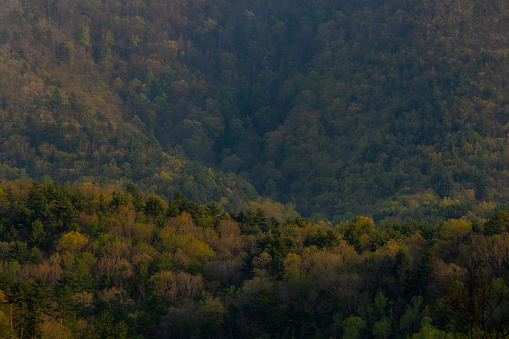 Spring view of the Blue Ridge Mountains seen from Skyline Drive in Virginia.