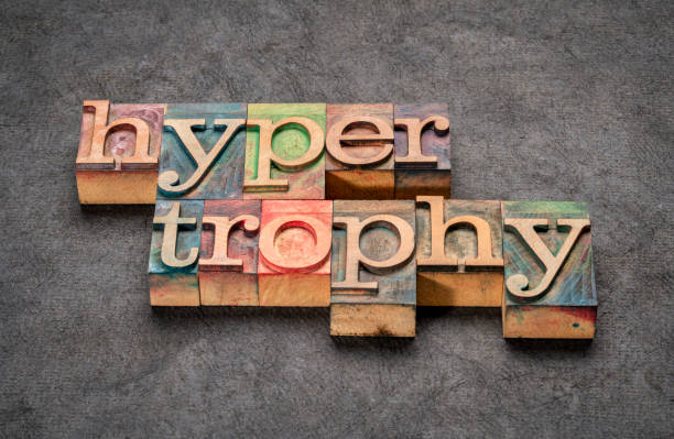 muscle hypertrophy