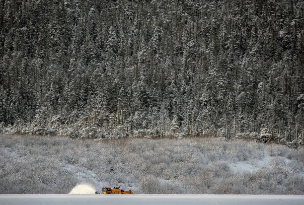 snow removal 010920 02