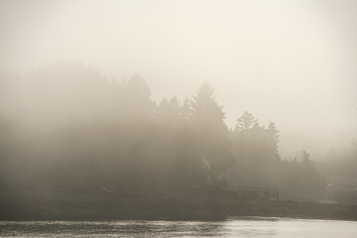 Fog engulfs Pennock Island, Alaska on Jan. 26, 2022.
