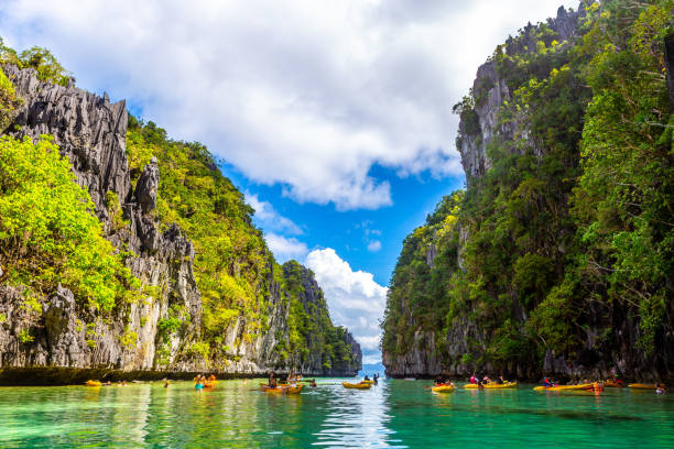 istock Big Lagoon in El Nido 1445316456