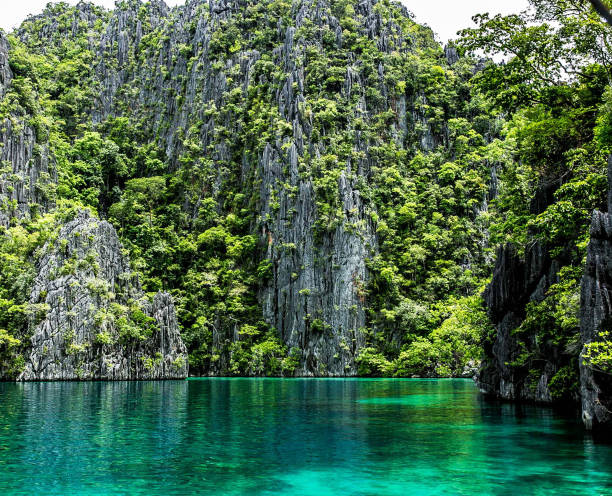 istock Magical Coron Island, Philippines  pictures 1445317695