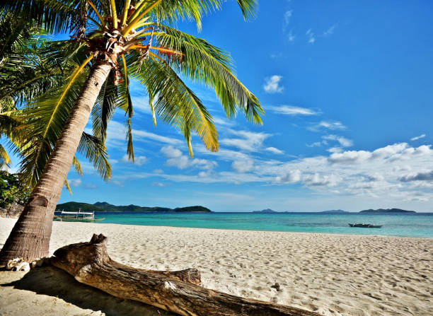 istock Magical Coron Island, Philippines  pictures 1445317730