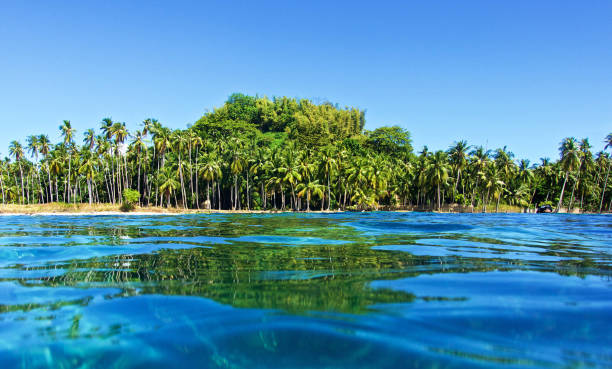 istock Magical Coron Island, Philippines  pictures 1445317770