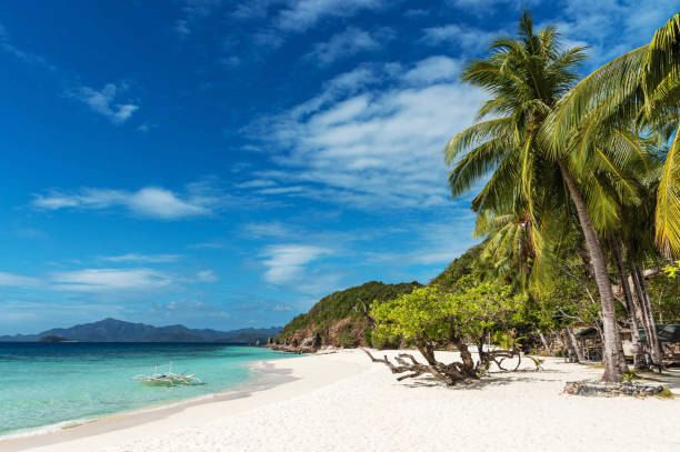 istock Magical Coron Island, Philippines  pictures 1445317780