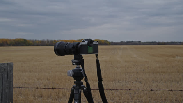 A film camera on tripod with wheat field background