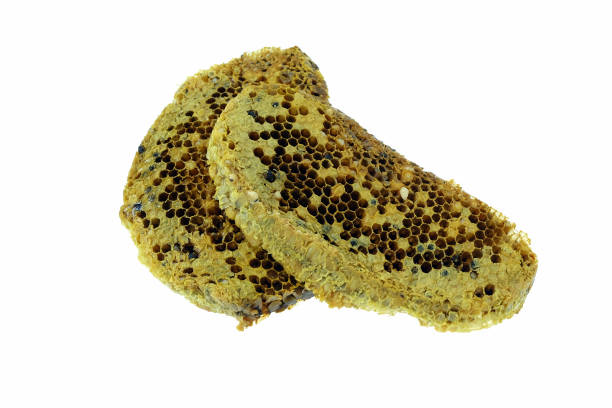 istock Natural Wild Honeycomb Isolated on White Background. 1445322400