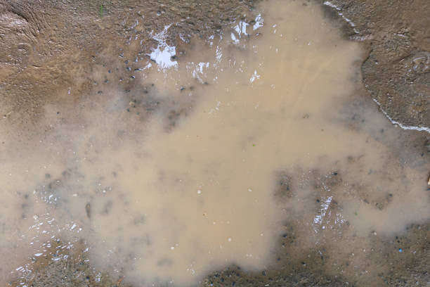 istock Murky light brown puddle on concrete background and wallpaper texture 1445329076