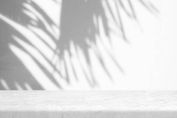 istock Polished Raw Concrete Table with Palm Leaves Shadow on Wall Texture Background, Suitable for Product Presentation Backdrop, Display, and Mock up. 1445332001