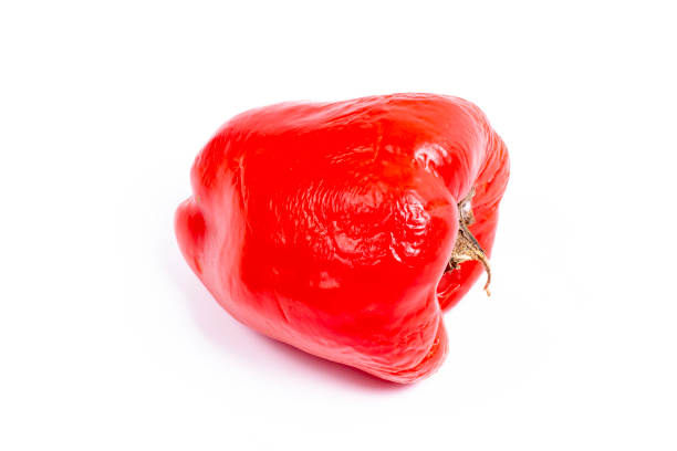 istock Red pepper isolated on white background. red shriveled pepper 1445335989