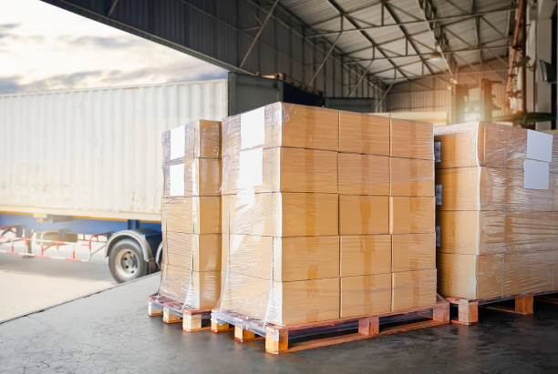 packaging boxes wrapped plastic on pallets loading into cargo container. distribution supplies warehouse. shipping trucks. supply chain shipment boxes. freight truck transport logistics. - palete imagens e fotografias de stock