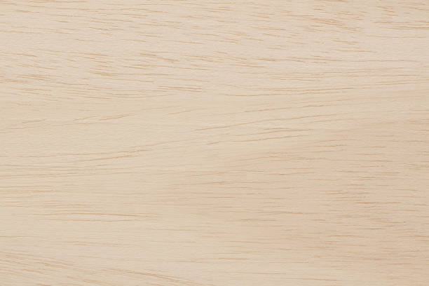 istock Plywood texture background, wooden surface in natural pattern for design art work. 1445337337