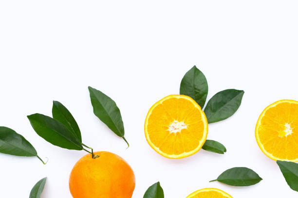 istock Orange fruit with green leaves on white background. 1445338407