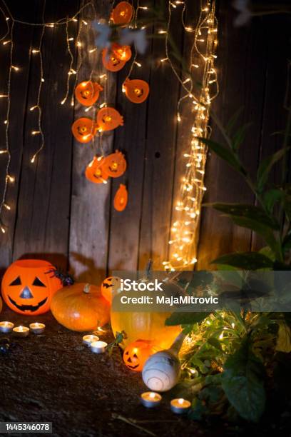 Halloween Still Life With Carved Pumpkins Stock Photo - Download Image Now - Autumn, Blank, Bright