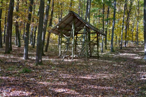 istock Old abandoned structure in a forest surrounded by trees in autumn 1445346561