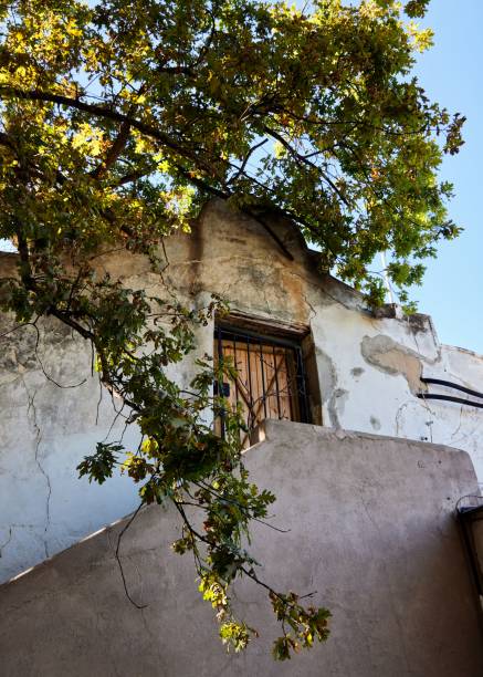 istock Vertical shot of a old buildings exterior and a tree 1445347814