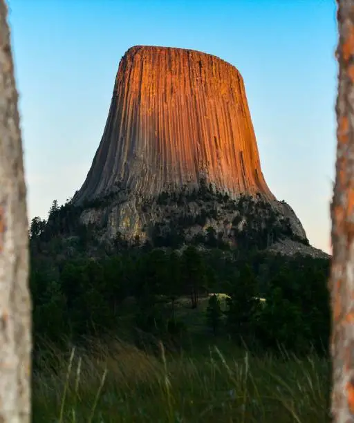 A vertical shot of the Devils Tower National Monument in Wyoming with late afternoon light