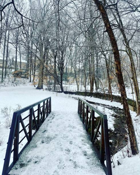 istock Snow covered bridge over creek in park 1445350542