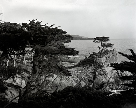 Monochrome view of Pigeon Point Lighthouse in the distance along the rocky shore of the Northern California coast.  This is the tallest lighthouse on the West Coast of the United States.\n\nTaken from Pigeon Point Light Station State Historic Park