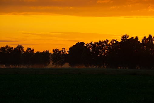 Dramatic red sunset colors in the sky above trees and fields. summer sunset in Latvia