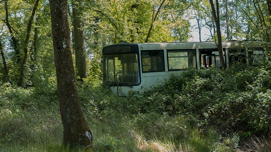 A beautiful view of an abandoned bus in a forest on a sunny day