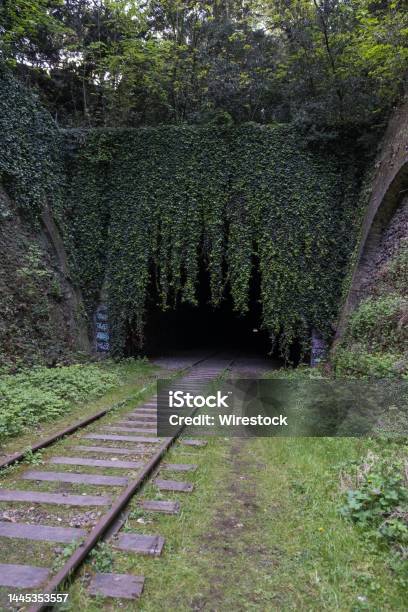 Beautiful View Of The La Petite Ceinture With Green Trees Stock Photo - Download Image Now
