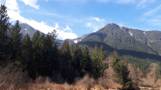 istock Mountains full of evergreen trees under a blue, cloudy sky 1445353689