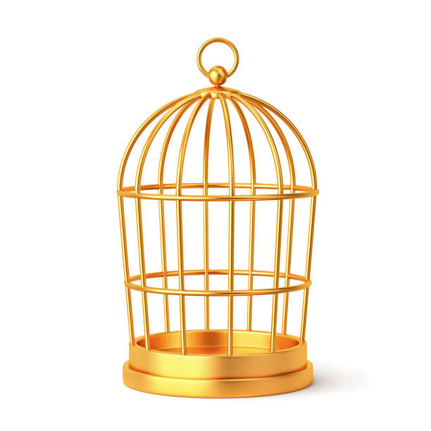 istock Golden bird cage isolated on white. Clipping path included 1445353884