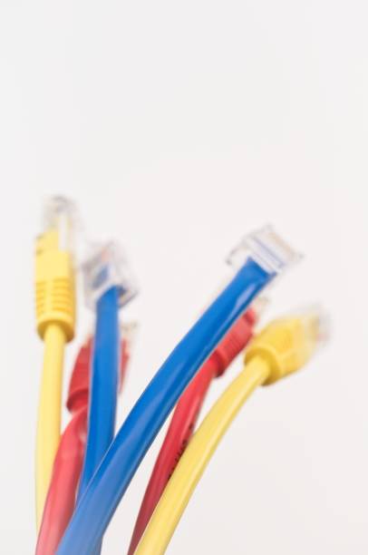 bunch of gigabit network cables with RJ45 connectors